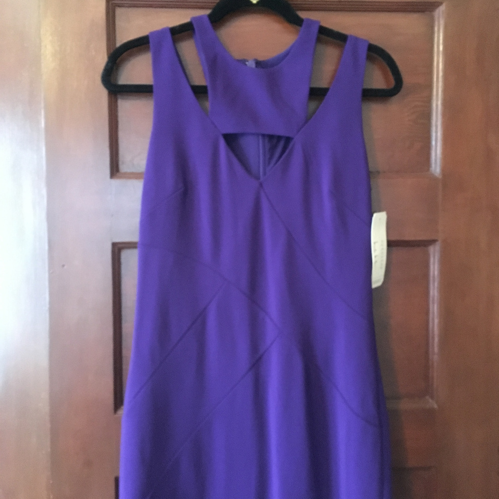 NWT Nicole Miller Purple Dress